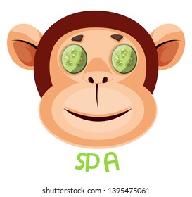 Monkey is taking spa, illustration, vector on white background.