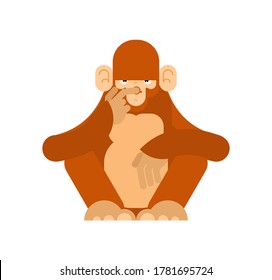 El mono piensa aislado. Chimpanzee reflexiona sobre la ilustración vectorial
 
