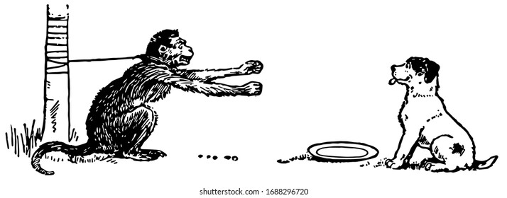 The monkey tied to wooden rod with rope and looking at dog in anger who ate his food, plate on ground, vintage line drawing or engraving illustration