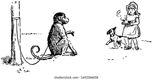 The monkey tied to wooden rod with rope and little girl with dog walking towards to the monkey, She holding food plate in hands, vintage line drawing or engraving illustration