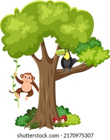 Monkey and toucan bird on a tree illustration