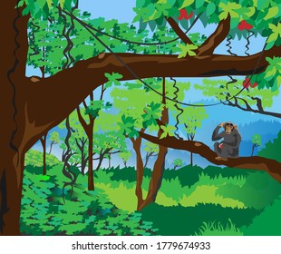 un mono en la selva tropical