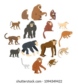 Monkey types icons set in flat style isolated vector illustration