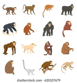 Monkey types icons set. Flat illustration of monkey vector icons isolated on white background