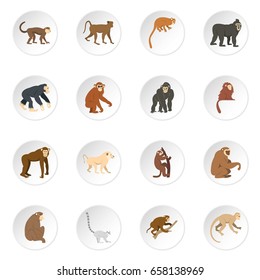 Monkey types icons set in flat style isolated vector icons set illustration