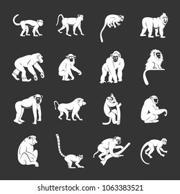 Monkey types icons set vector white isolated on grey background 