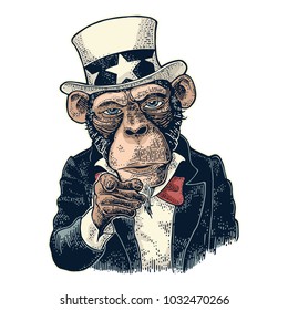 Monkey Uncle Sam with pointing finger at viewer, from front. I Want You. Vintage color engraving illustration for recruiting poster. Isolated on white background. Hand drawn design element