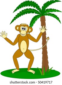 Monkey under the palm