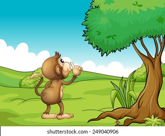 A monkey under the tree