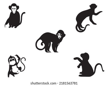 Monkey Vector Art. Monkey vectors free download. Monkey vector image. Monkey image