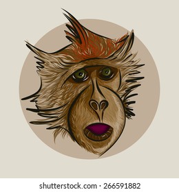 The Monkey, vector color illustration. The Drawing by hand.