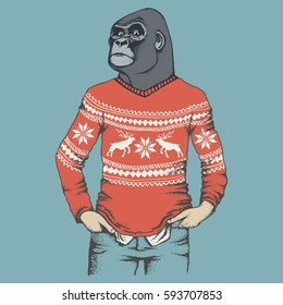 Monkey vector concept. Illustration of African gorilla in human sweatshirt or sweater