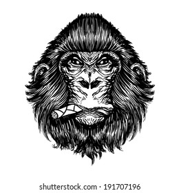 monkey vector design. T-shirt graphics . Gorilla illustration