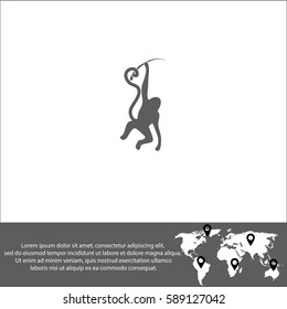Monkey vector  icon.