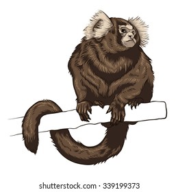 Monkey. Vector illustration