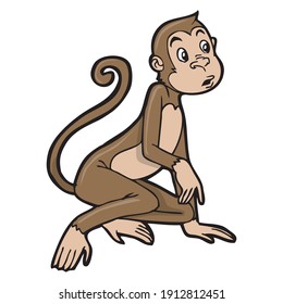 Monkey vector illustration,
isolated on white background.Animals top view
