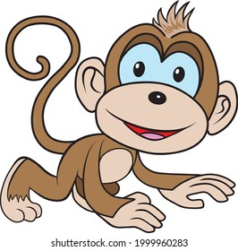 monkey vector illustration isolated on white background.Animals top view