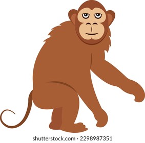 monkey Vector illustration on a transparent background. Premium quality symbols.  Icons for concept and graphic design.