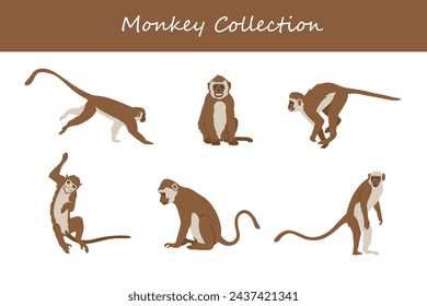 Monkey Vektor Illustration Set. Netter Affe isoliert auf weißem Hintergrund.