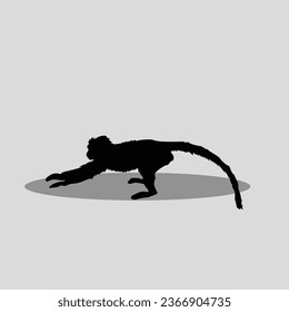 Monkey vector image clip art png