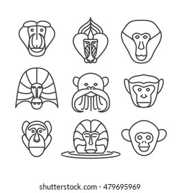 Monkey, vector outline illustration, icon set: Kakha, mandrill, Barbary Macaque, gelada, emperor tamarin, vervet monkey, Japanese macaques, marmosets