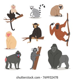 Monkey vector set cute animal macaque monkeyish cartoon character primate chimpanzee  gibbon   babbon monkeyshines illustration isolated white