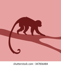 Monkey vector silhouette