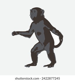 monkey vector with white background