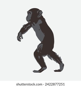 monkey vector with white background