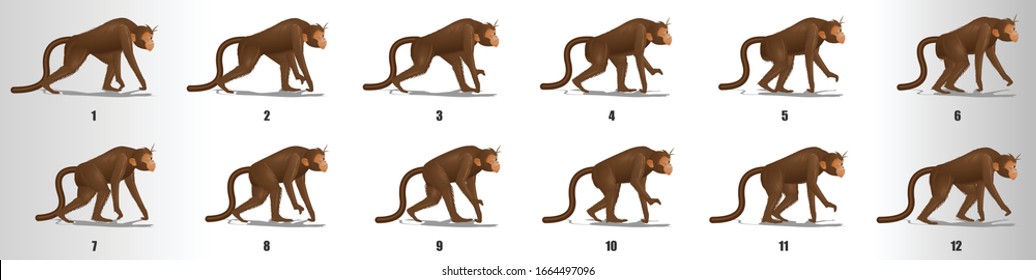 Monkey Walk cycle animation frames, loop animation sequence sprite sheet