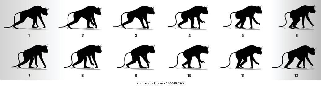 Monkey Walk cycle animation frames silhouette, loop animation sequence sprite sheet