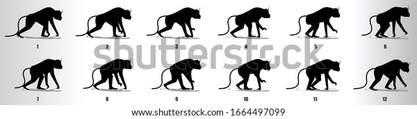 Monkey Walk Cycle Animation Frames Silhouette Stock Vector (royalty 