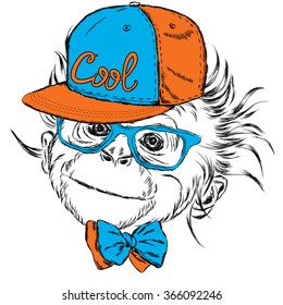 Monkey wearing a cap and sunglasses.  Vector illustration for greeting card, poster, or print on clothes.