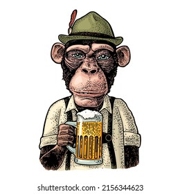 Monkey wearing a traditional Bavarian dress and holding beer mug. Vintage black and color vector engraving illustration isolated on white background. For poster oktoberfest festival