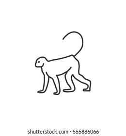 Monkey web line icon.