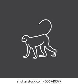 Monkey web line icon.