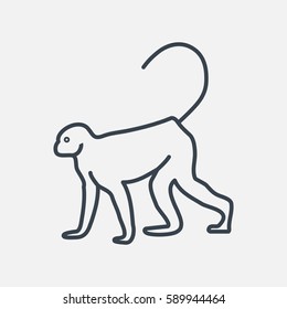 Monkey web line icon.