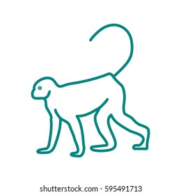 Monkey web line icon.