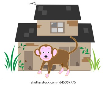 The monkey which appears in the unoccupied house.