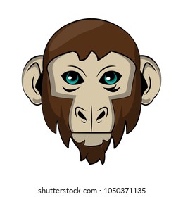 Monkey Wild animal