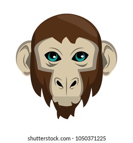 Monkey Wild animal