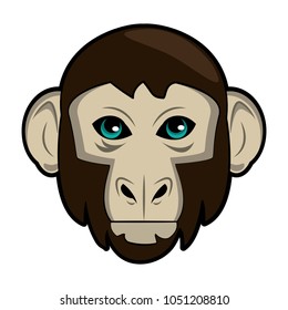 Monkey Wild animal