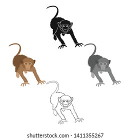 Monkey, wild animal of the jungle. Monkey, mammal primate single icon in cartoon,black style vector symbol stock illustration web.