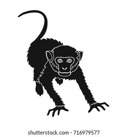 Monkey, wild animal of the jungle. Monkey, mammal primate single icon in black style vector symbol stock illustration web.