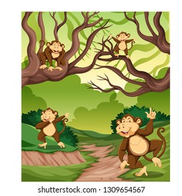 Monkey in the wild forest illustration