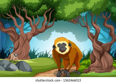 Affe in der wilden Waldgrafik