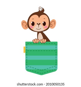 Monkey monkey in your pocket. A green striped pocket with a pet. Cartoon character. Vector illustration isolate.