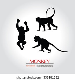 Monkey.monkey sign.vector illustration.