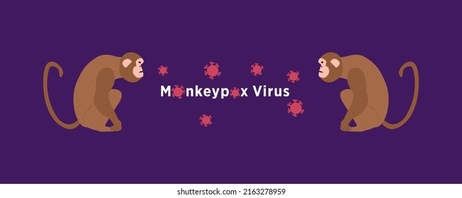 Monkeypox 2022. Vector illustration of the new virus of 2022 - monkeypox. Smallpox is transmitted from monkeys to humans. There are two monkeys and virus cells on the banner. Medical theme.