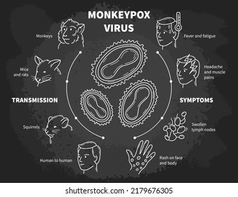 Monkeypox infectious disease vector infographic, medical scheme with poxviruses, symptoms and transmission. Fever and rash from monkeys, rats and squirrels. Chalk icons in sketch style on blackboard